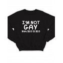 Модный свитшот - толстовка без капюшона с принтом "I'm not gay"