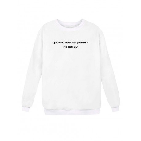 Модный свитшот - толстовка без капюшона с принтом "Срочно нужны деньги на ветер"