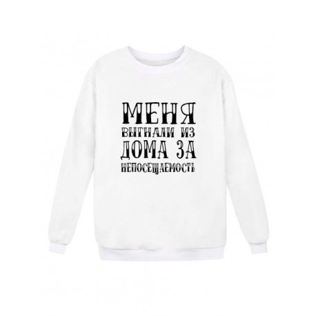 Модный свитшот - толстовка без капюшона и без молнии с принтом "Меня выгнали из дома за непосещаемость"